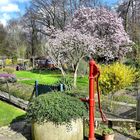 Idylle im Schrebergarten