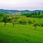 Idylle im Schwarzwald