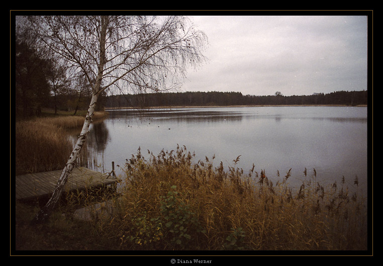 Idylle im Spätherbst - 02