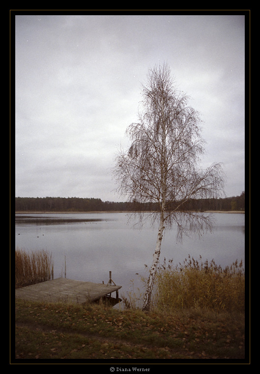 Idylle im Spätherbst - 04