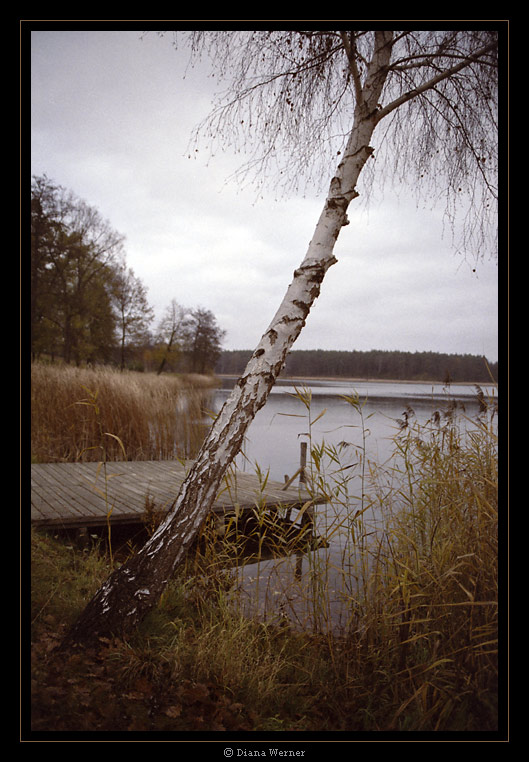 Idylle im Spätherbst - 06