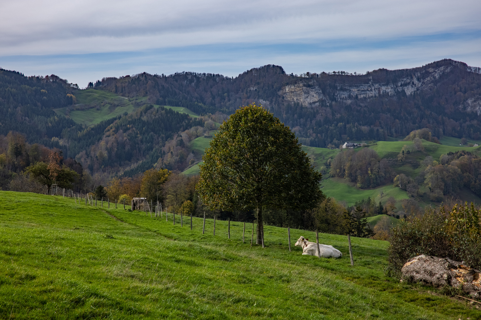 Idylle im Spätherbst