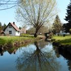 Idylle im Spreewald