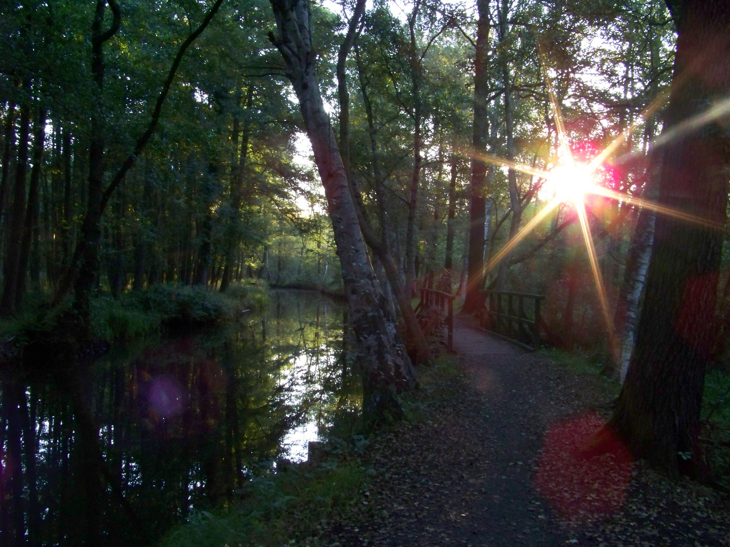 Idylle im Spreewald