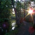 Idylle im Spreewald