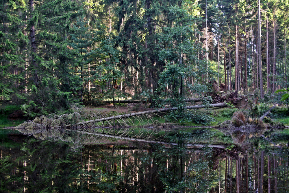 Idylle im Taunus