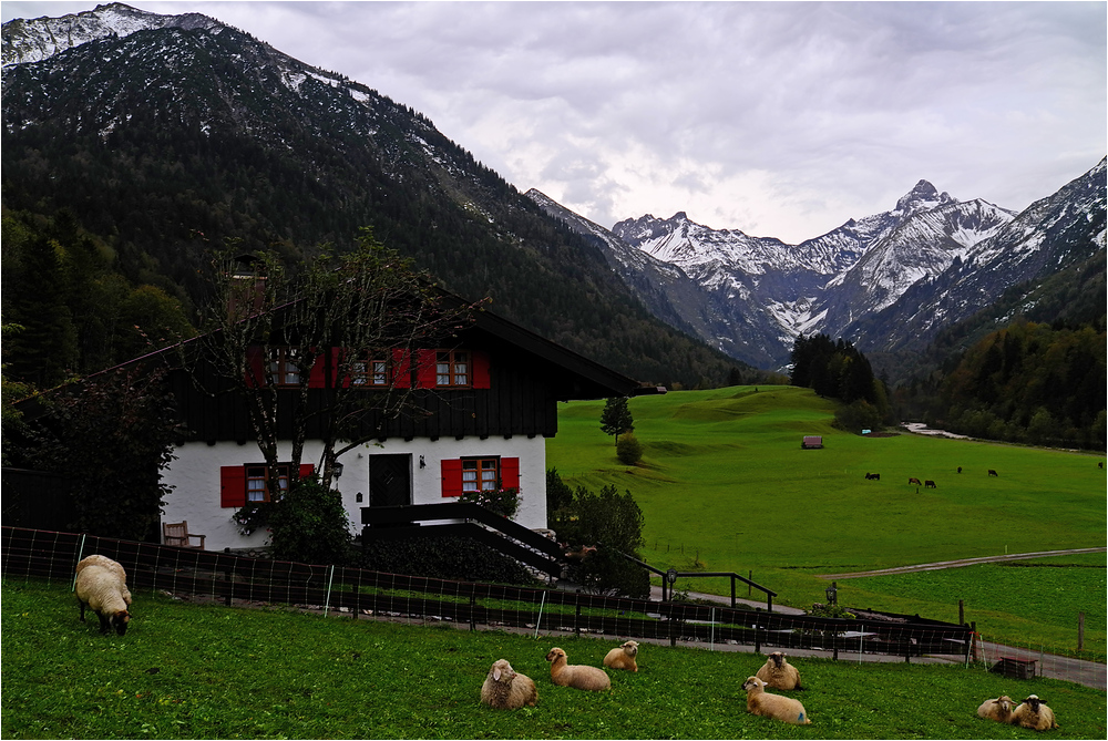 Idylle im Trettachtal