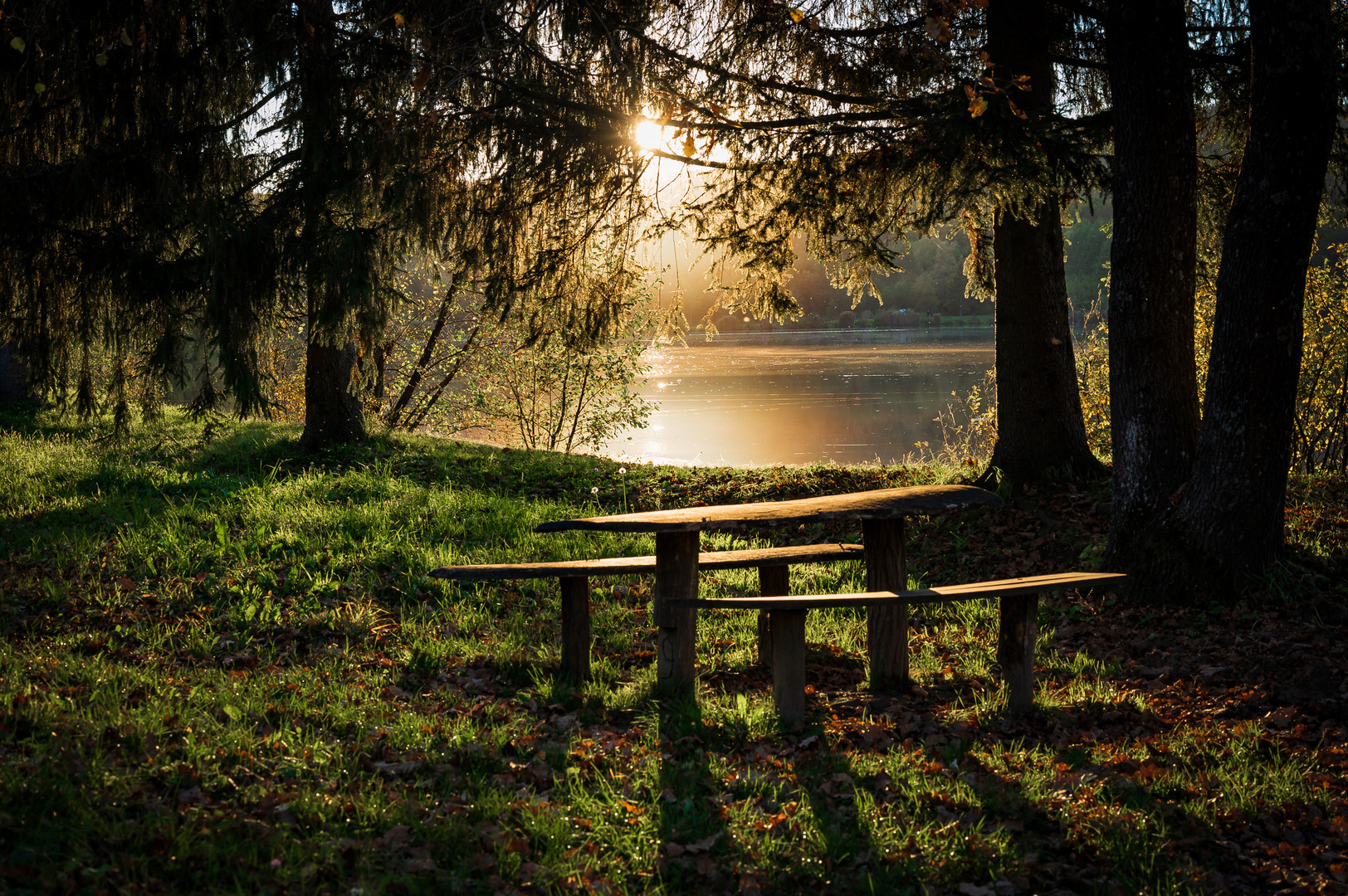 Idylle im Wald