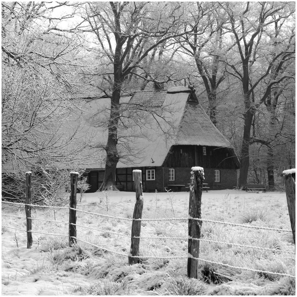 Idylle im Wald