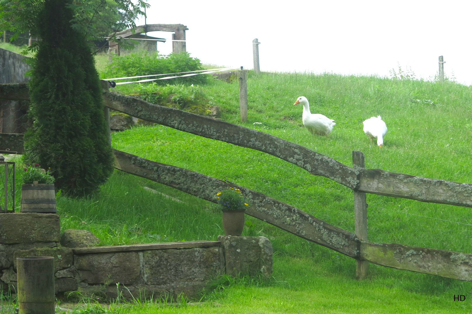 Idylle im Waldachtal