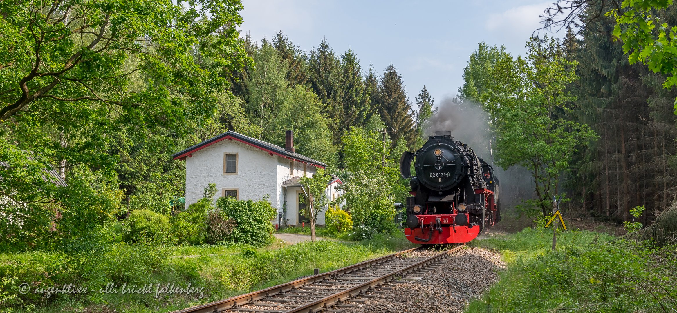 Idylle im Zellwald