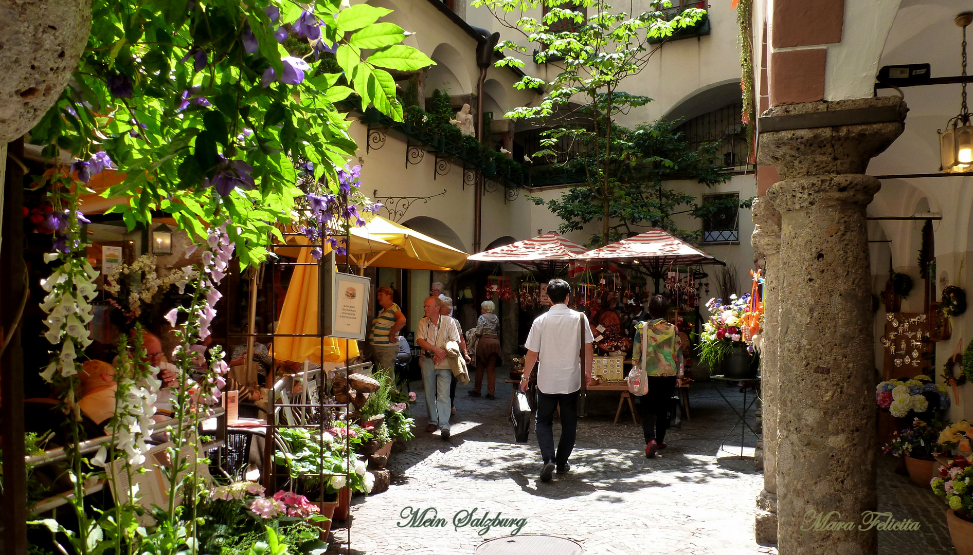 IDYLLE im Zentrum in der Stadt Salzburg