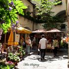 IDYLLE im Zentrum in der Stadt Salzburg