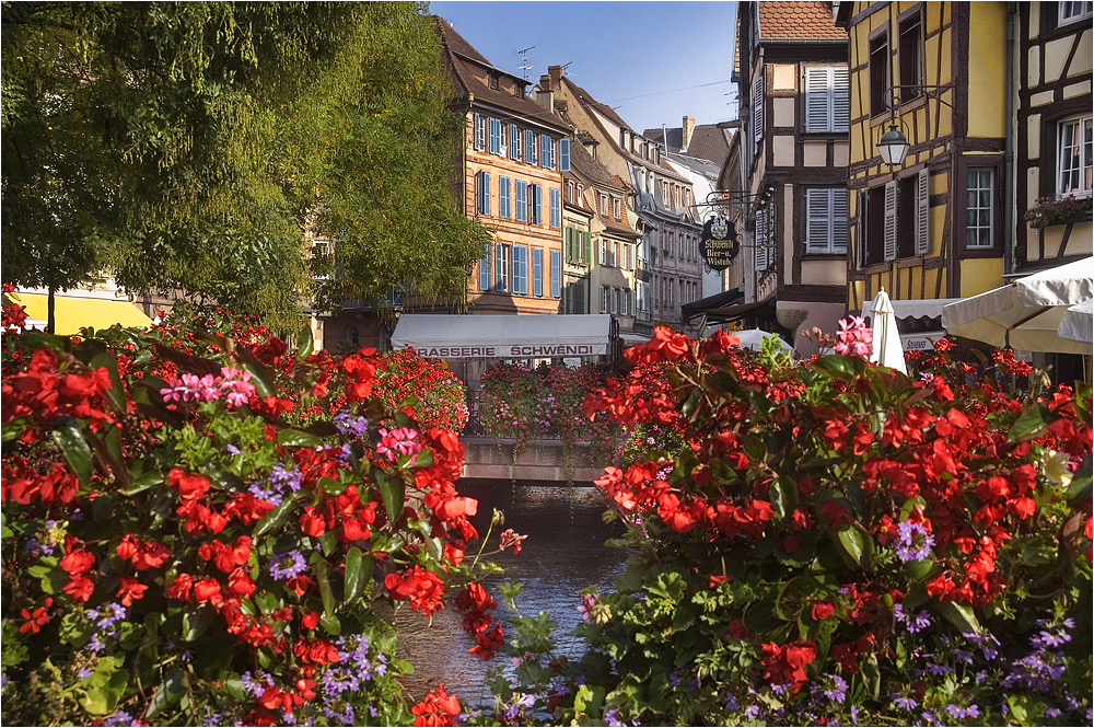 Idylle in Colmar