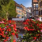 Idylle in Colmar