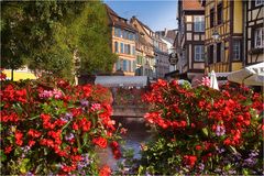 Idylle in Colmar