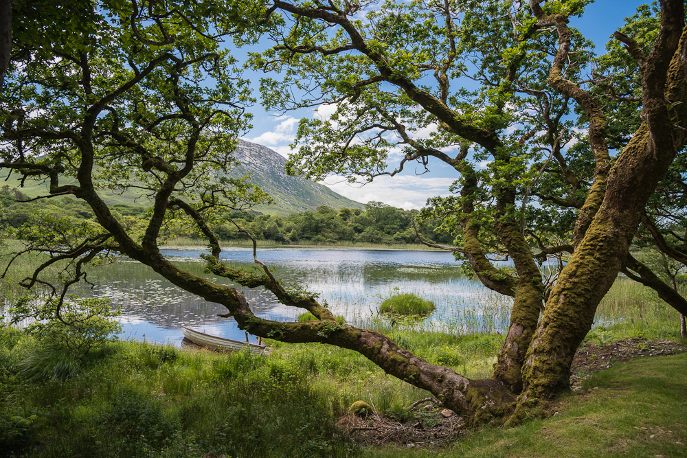 Idylle in Connemara (Irland)