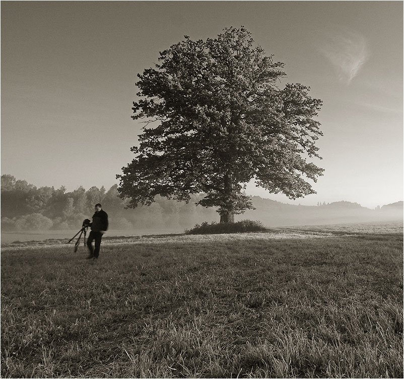 Idylle in den Morgenstunden mit Fotograf #2