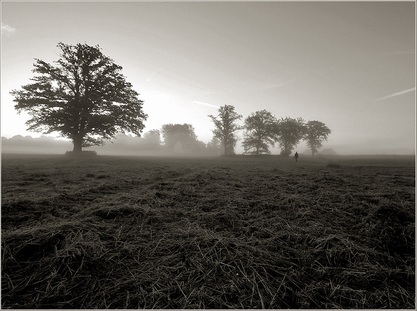 Idylle in den Morgenstunden mit Fotograf