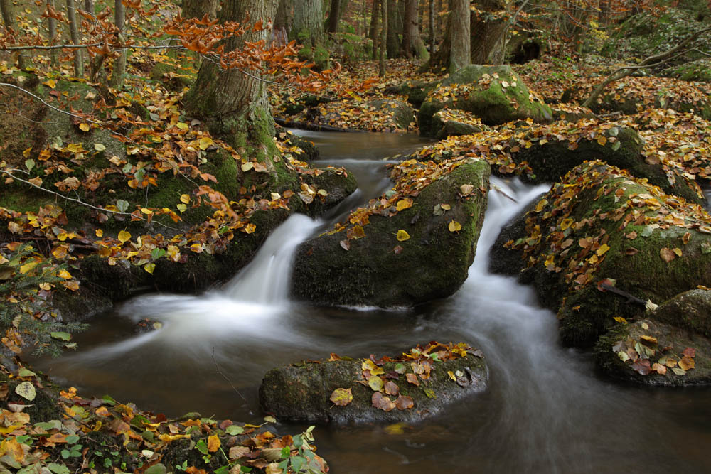 Idylle in der Hölle (bei Postfelden)