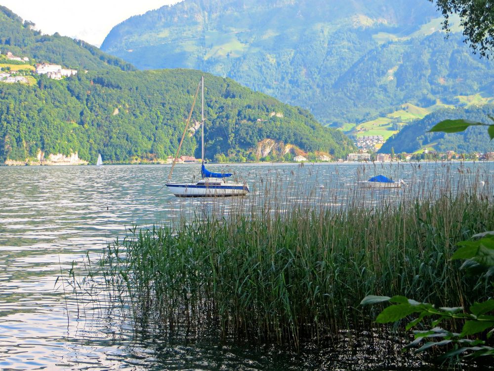 Idylle in der Horwerbucht ...