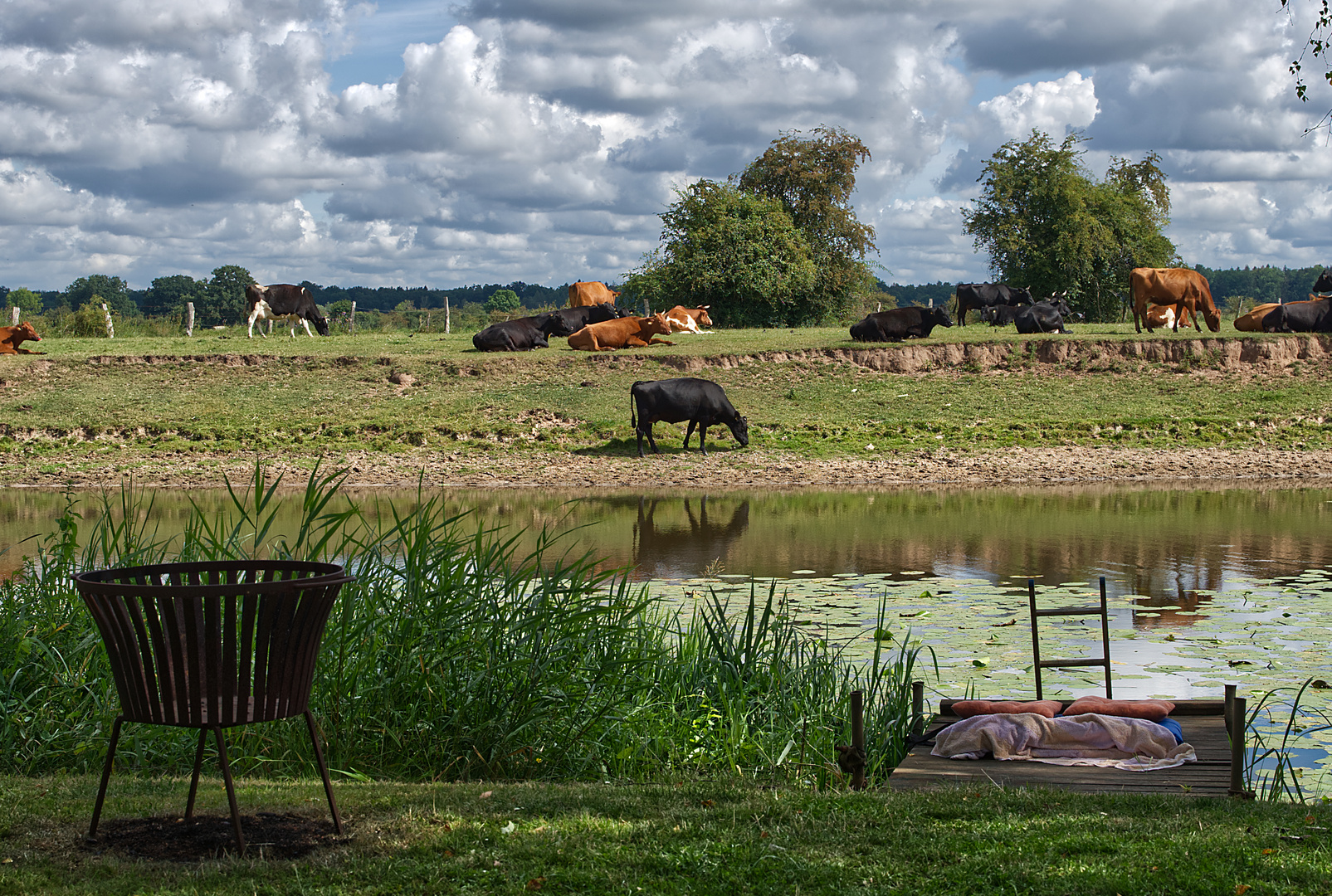 Idylle in der Lüneburger Heide