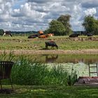 Idylle in der Lüneburger Heide