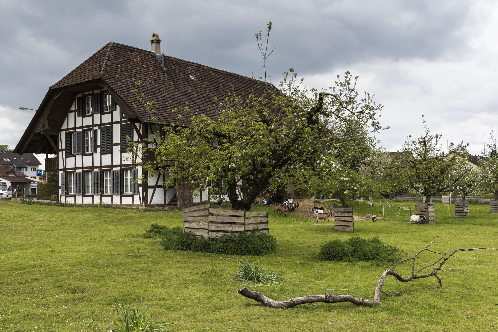 Idylle in der Stadt