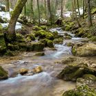 Idylle in der Teufelsschlucht