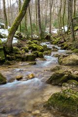 Idylle in der Teufelsschlucht