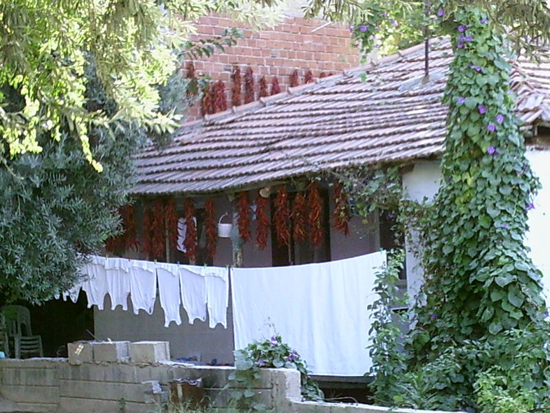 Idylle in einem Vorort von Denizli