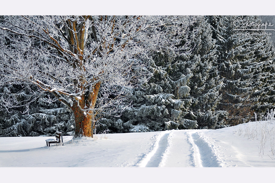 Idylle in Eis und Schnee