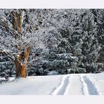 Idylle in Eis und Schnee