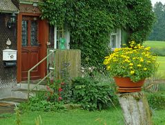 Idylle in Hopfen