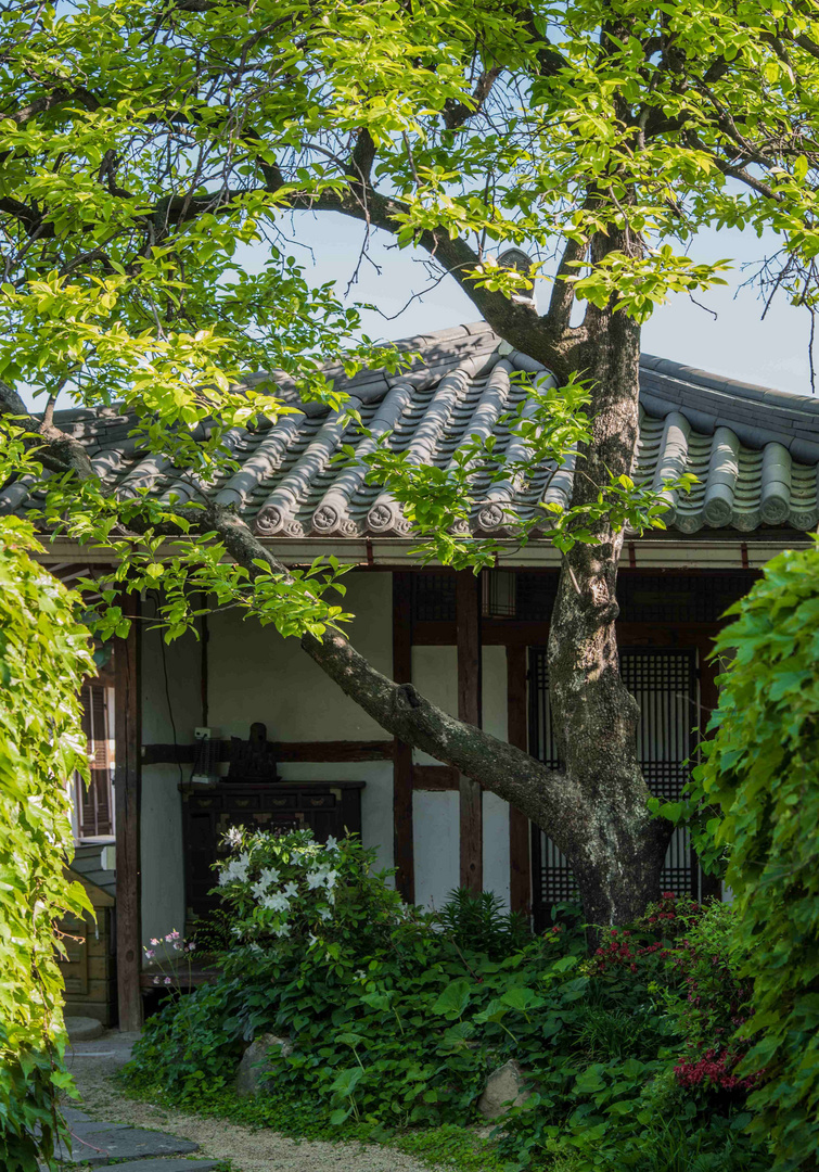 Idylle in Jeonju Korea