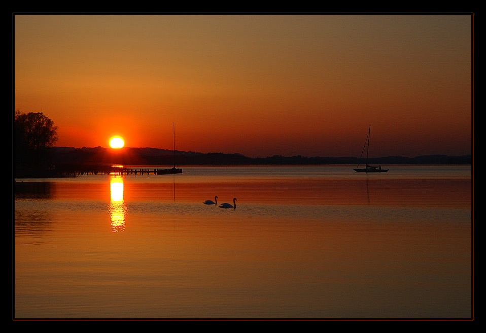 Idylle in orange...