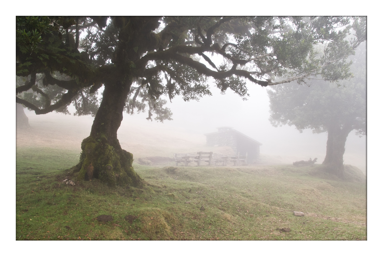 Idylle Madeira