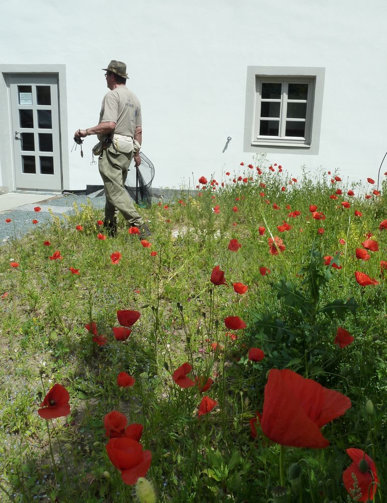 Idylle mit Fischer