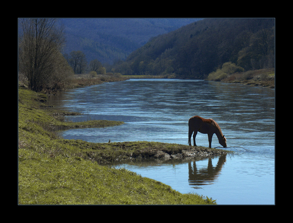 Idylle mit Fluss-Pferd... (...am Reinhardswald...)