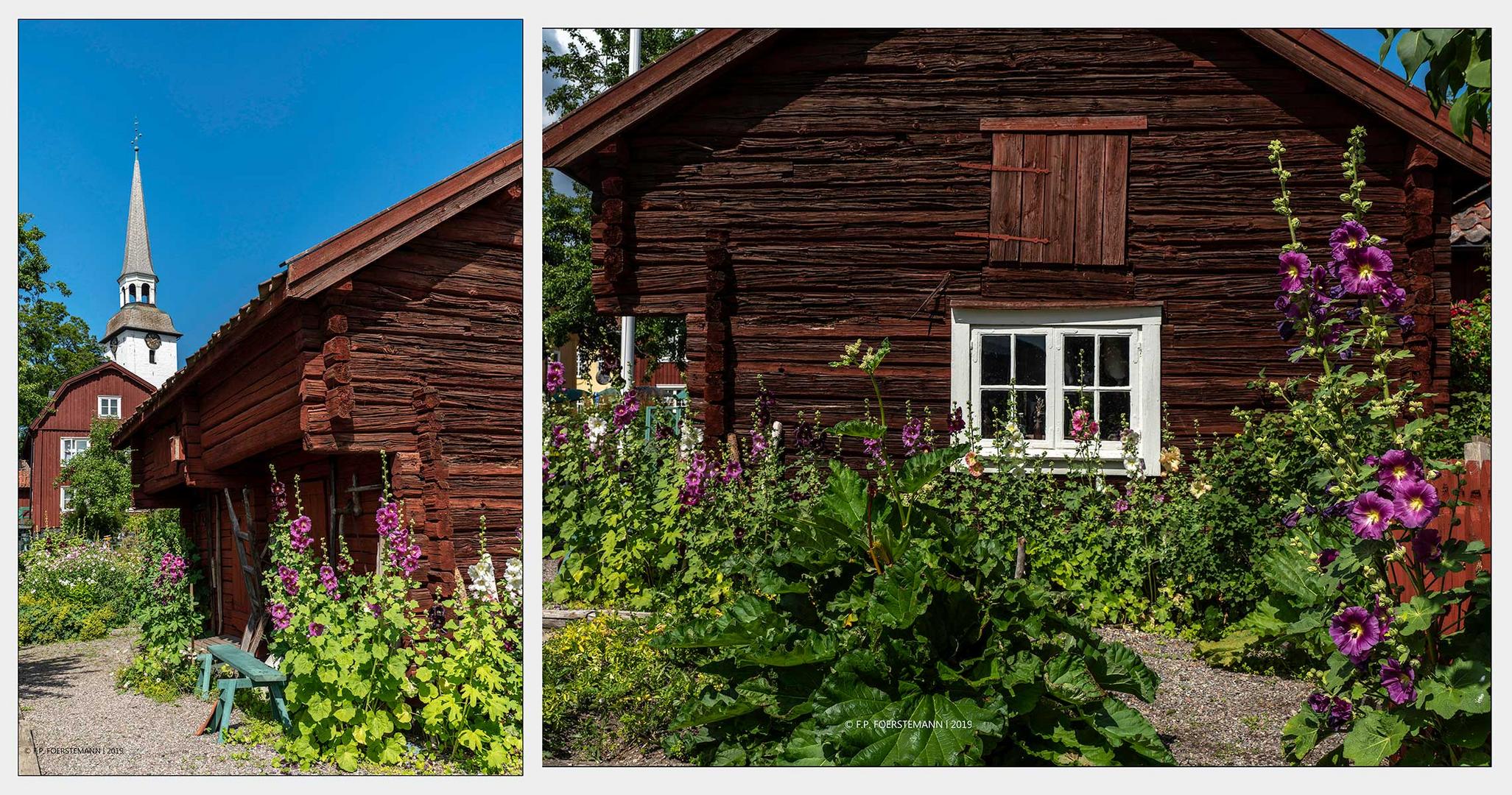 Idylle mit Stockrosen