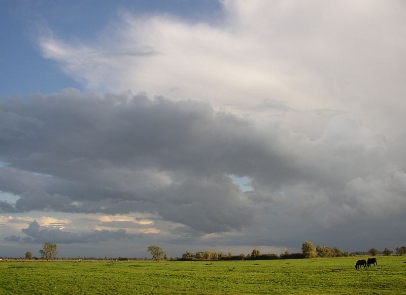 Idylle nach dem großem Regen - Warflether Helmer