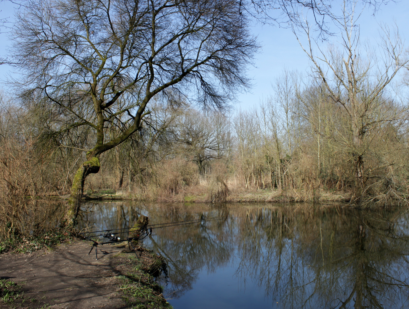 Idylle nicht nur für Angler