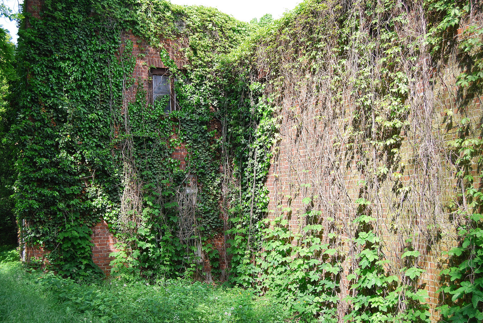 Idylle oder Hexenhäuschen