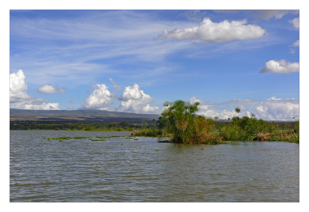 Idylle pur auf dem Naivasha See