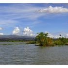 Idylle pur auf dem Naivasha See