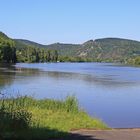 Idylle pur für mich am Stau der Labe (Elbe) ...