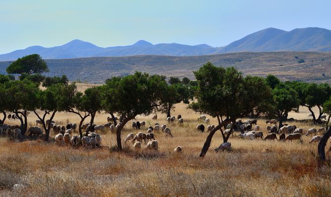 Idylle pur! Puro idilio!