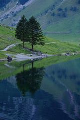 Idylle Seealpsee 