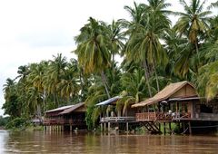 idylle, südlaos 2010