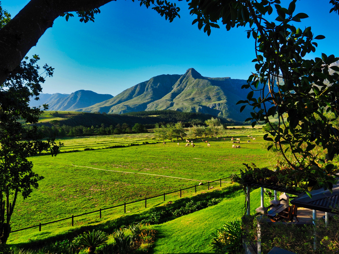 Idylle Swellendam SA